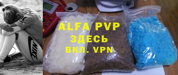 прущие грибы Богородицк
