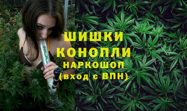 каннабис Богданович