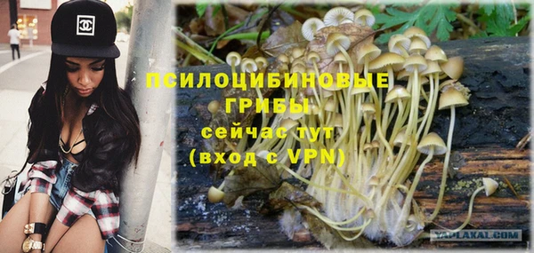 ALPHA PVP Богородск