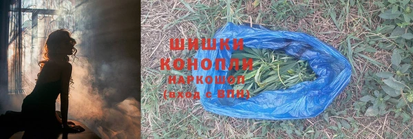 каннабис Богданович