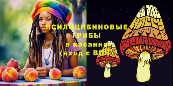 прущие грибы Богородицк