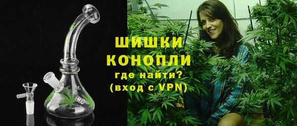 прущие грибы Богородицк