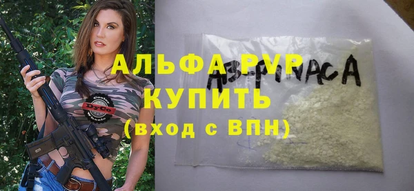 прущие грибы Богородицк