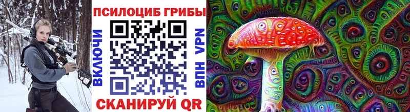 mega   Волжский  Галлюциногенные грибы Cubensis  дарнет шоп 